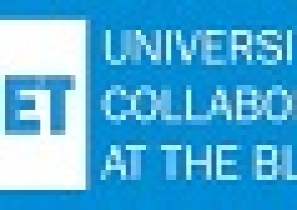 University collaboration network at the black sea (rus)